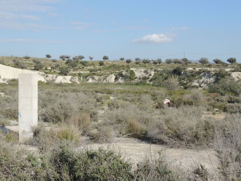 Land in Molina de Segura, Murcia for sale - Construction Photo - Image 2 of 5