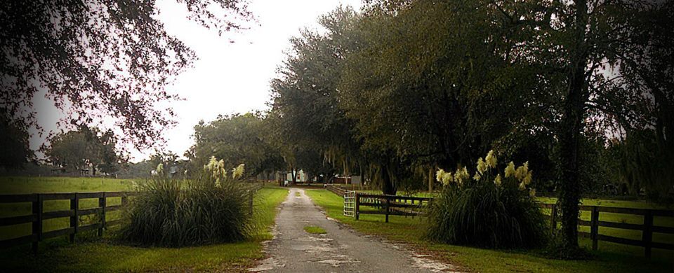 4690 89th Rd, Live Oak, FL for sale - Primary Photo - Image 1 of 11