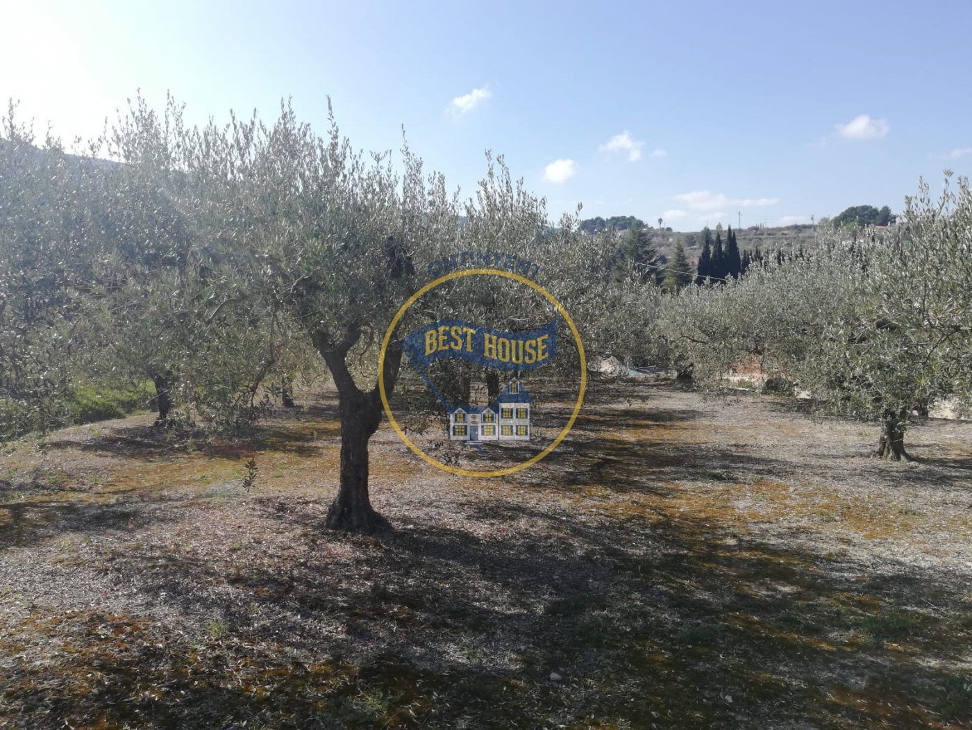 Land in Ontinyent, Valencia for sale Primary Photo- Image 1 of 11