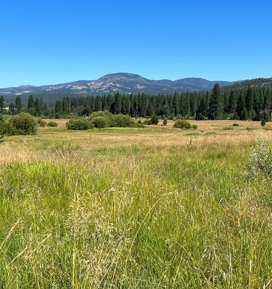 475 Old Hatchery Road, Clio, CA for sale - Primary Photo - Image 1 of 12