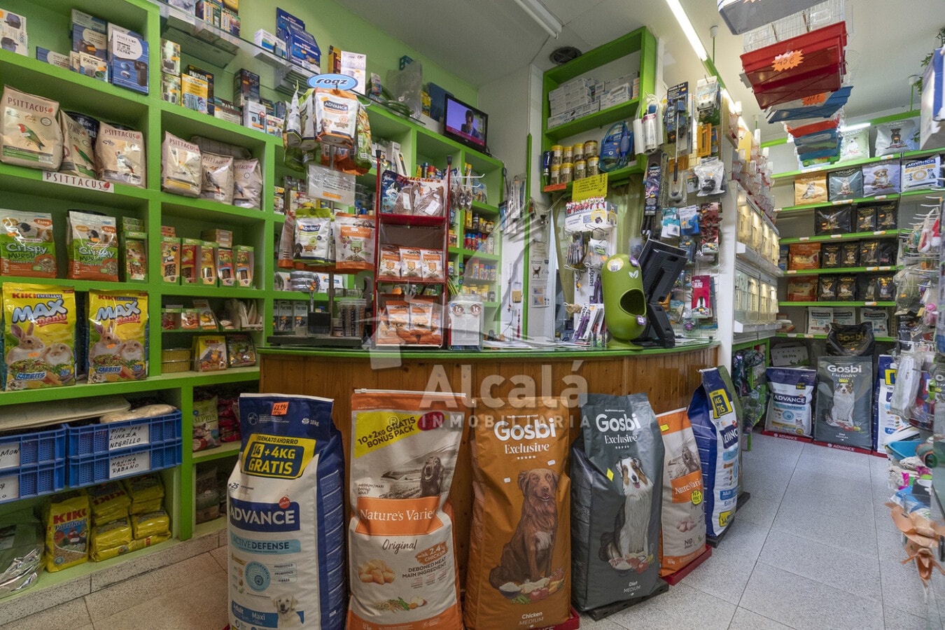 Coslada, MAD 28820 - - - Interior Photo - Image 2 of 7