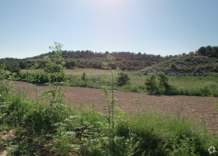 Land in Ocaña, Toledo for sale Primary Photo- Image 1 of 23