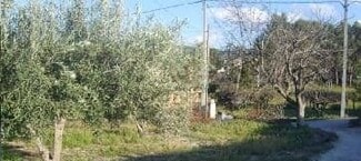 More details for Land for Sale