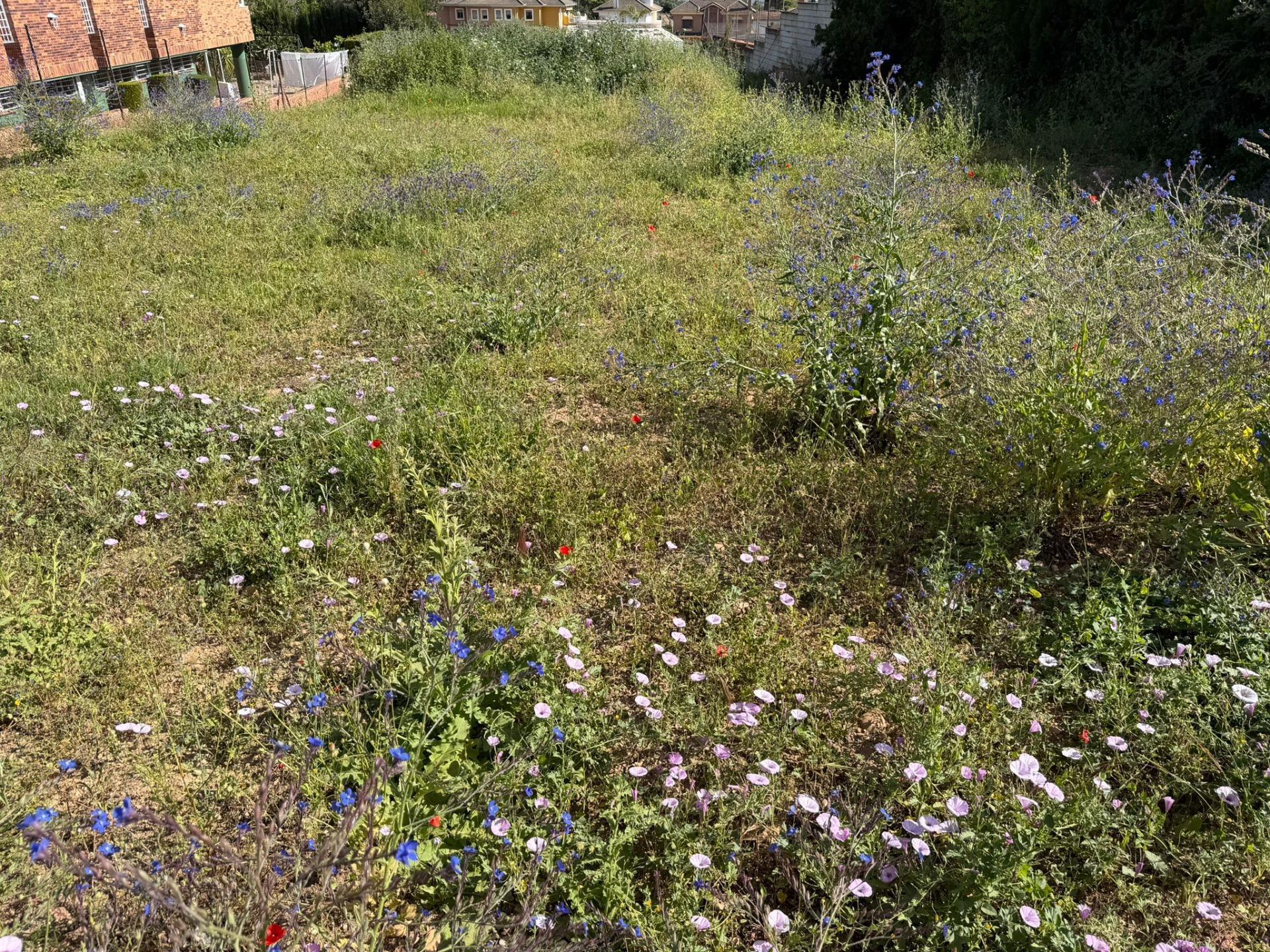 Land in Córdoba, Córdoba for sale Building Photo- Image 1 of 2