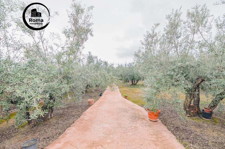 Land in Ogíjares, Granada for sale - Building Photo - Image 2 of 25