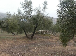 More details for Land for Sale