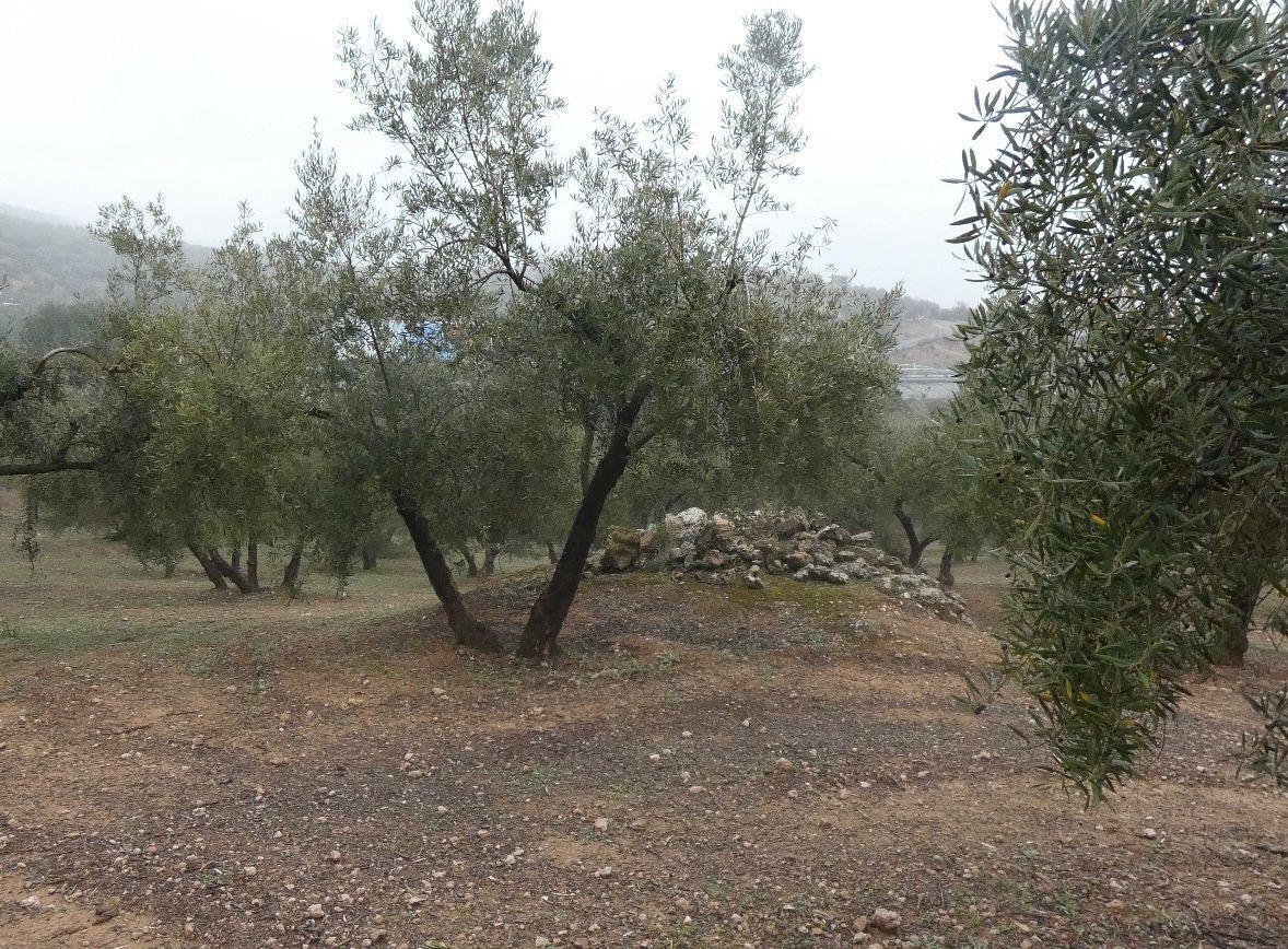 Land in Peligros, Granada for sale Building Photo- Image 1 of 29