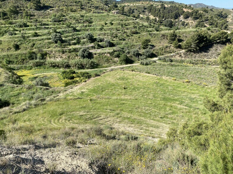 Lorca, S/N, Murcia, Murcia for sale - Site Plan - Image 3 of 10