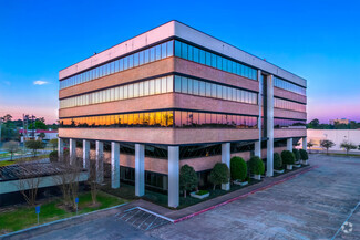 More details for 14511 Falling Creek Dr, Houston, TX - Office for Rent