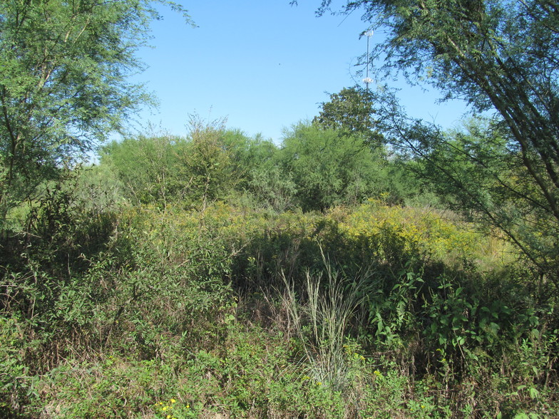 Highway 36, Milano, TX for sale - Primary Photo - Image 1 of 1