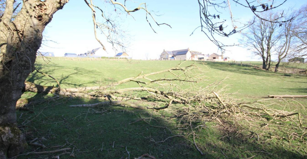 Site adjacent to Hall Cottage, Keswick for sale - Primary Photo - Image 1 of 1