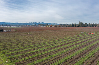 More details for 657 Grant ave, Healdsburg, CA - Land for Sale