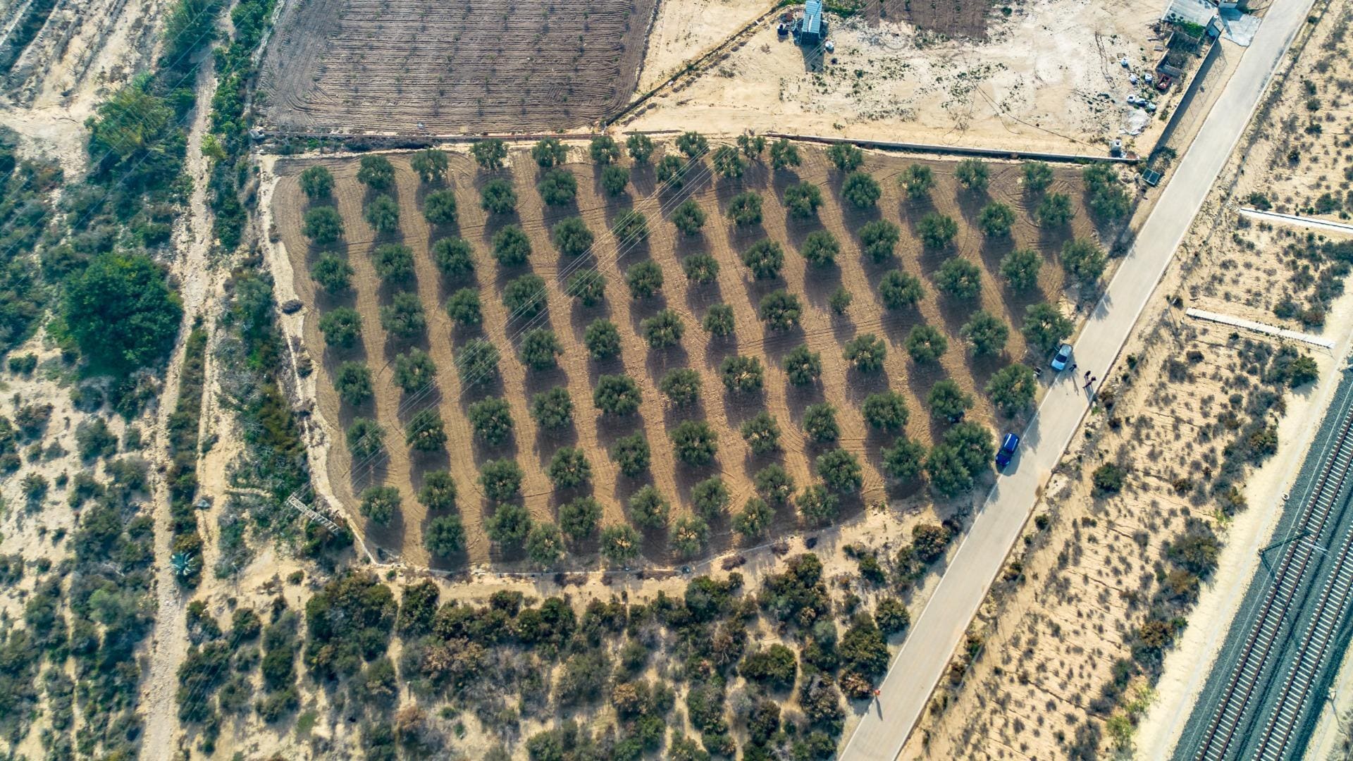 Parcela, 16, Crevillent, Alicante for sale Aerial- Image 1 of 8