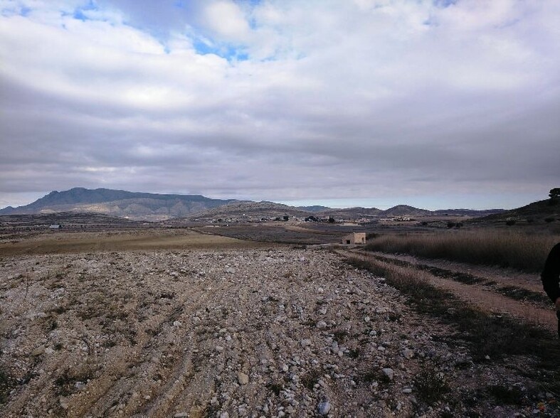 Land in Jumilla, Murcia for sale - Site Plan - Image 3 of 8