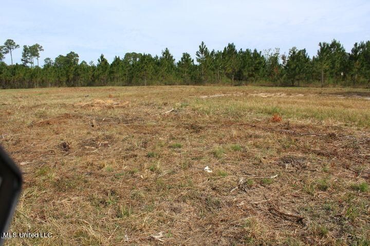 3.5 Acres Tucker Rd, Vancleave, MS for sale - Other - Image 2 of 6