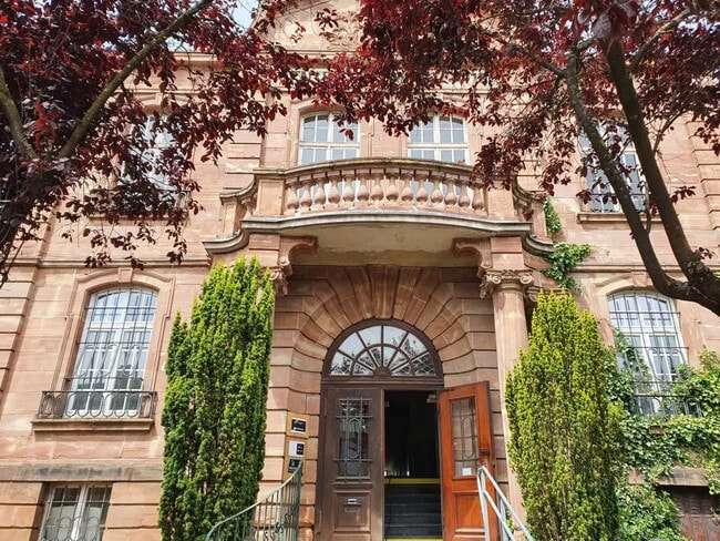 Location Bureaux 250 m²