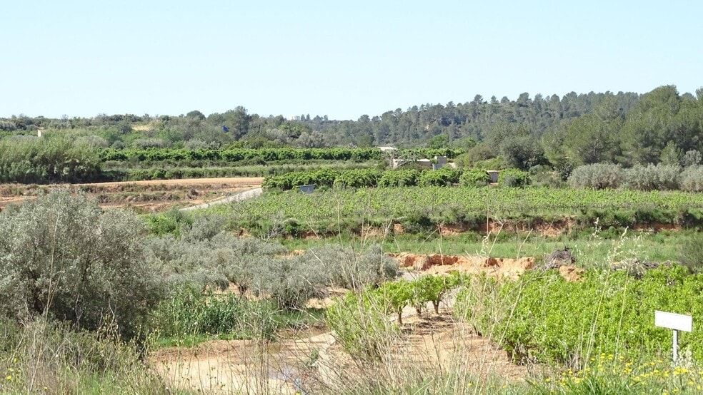 Polígono Enchilagar del Rullo, 16, Vilamarxant, Valencia for sale - Building Photo - Image 3 of 27