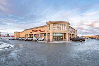 More details for 1721 E Parks Hwy, Wasilla, AK - Retail for Sale