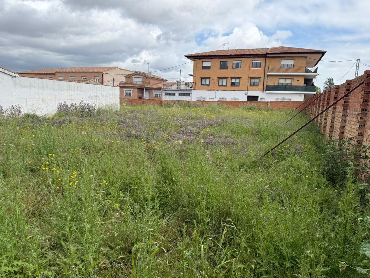 Land in Polán, Toledo for sale Primary Photo- Image 1 of 2