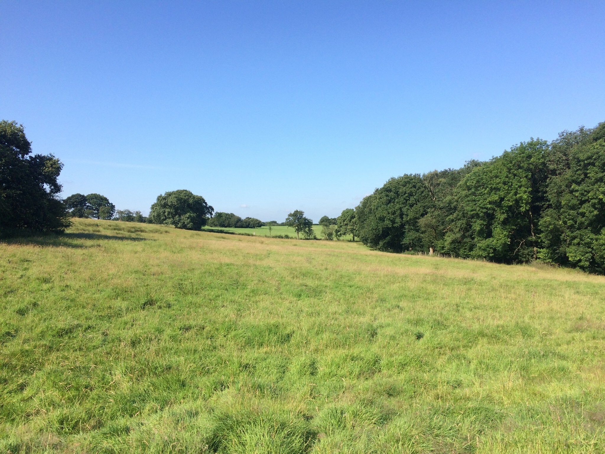 Land At Preston New Road, Samlesbury for sale Primary Photo- Image 1 of 1