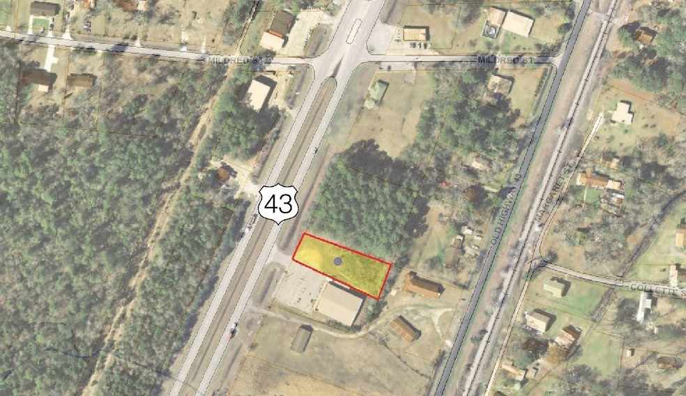 Highway 43, Mount Vernon, AL for sale - Building Photo - Image 1 of 6