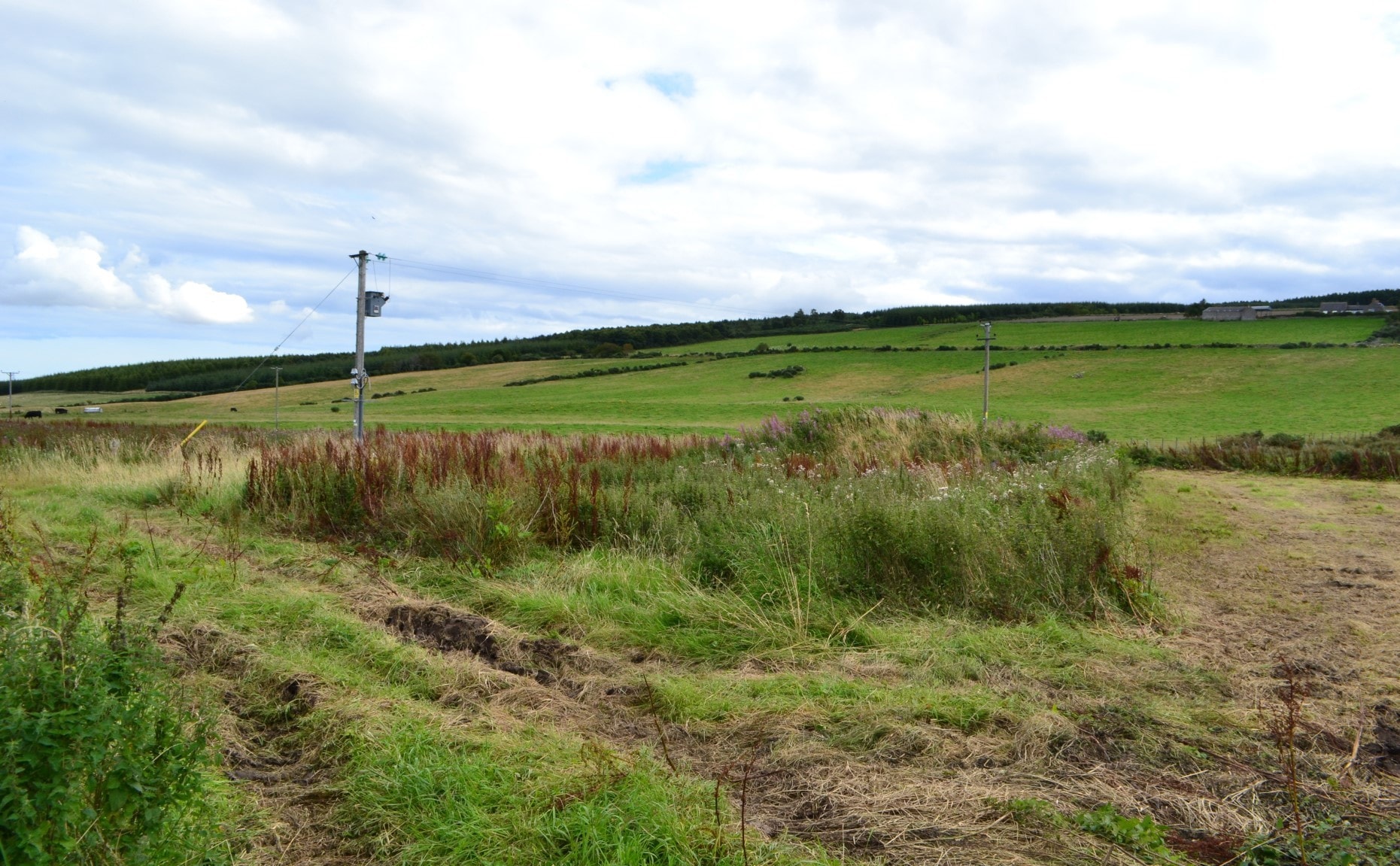 Bogs Of Blervie, Forres for sale Primary Photo- Image 1 of 1
