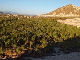 More details for Land for Sale
