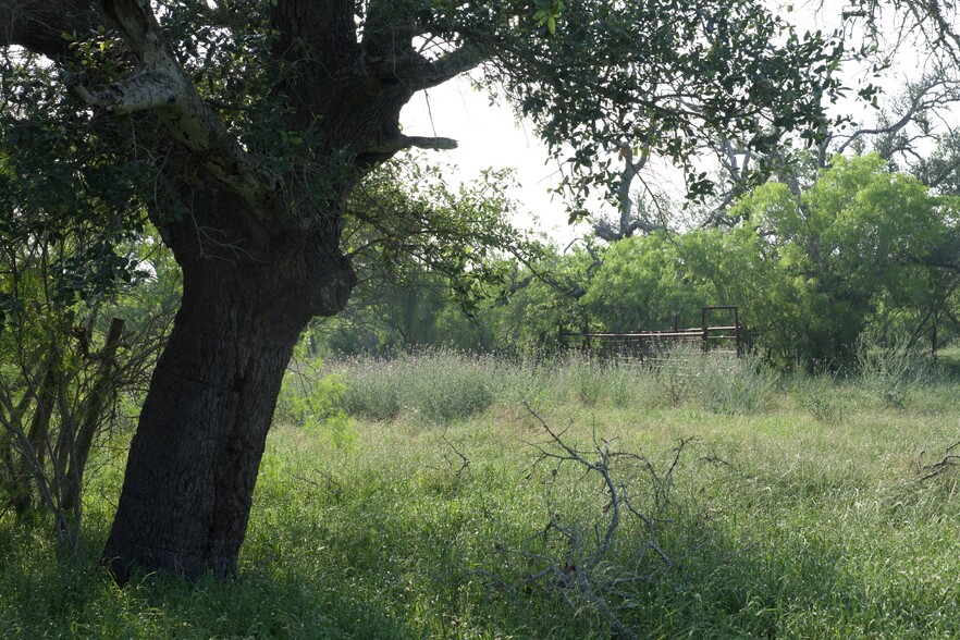 00 Taylorsville Rd, Red Rock, TX for sale - Other - Image 3 of 60