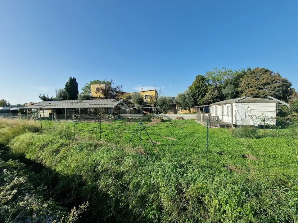 Location Terrain 900 m² - Photo 1