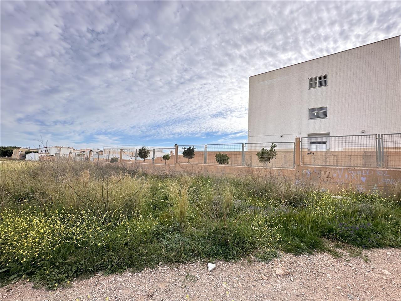 Land in El Ejido, Almería for sale Primary Photo- Image 1 of 7