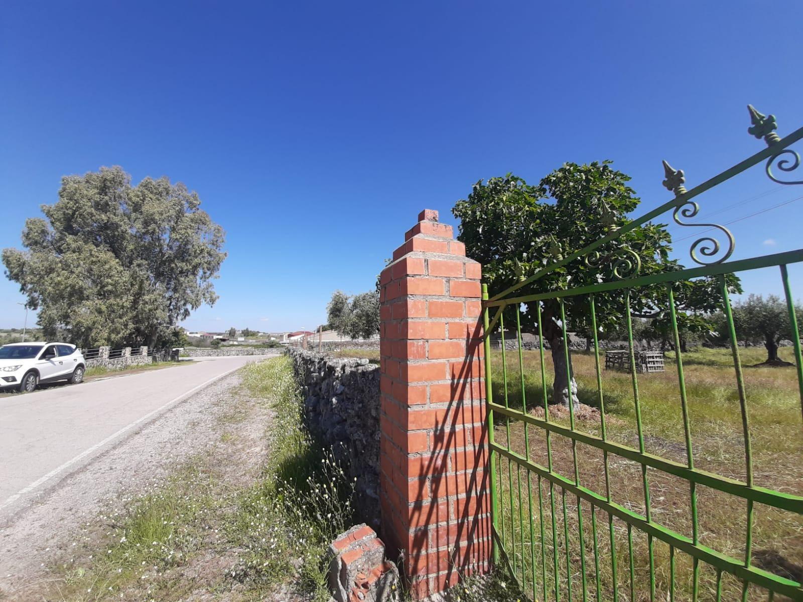 Land in Albalá, Cáceres for sale Primary Photo- Image 1 of 10
