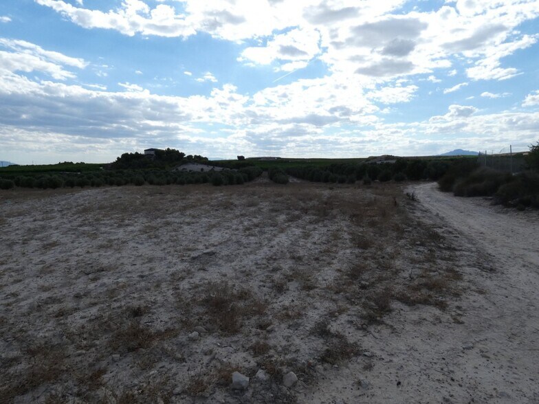 Land in Molina de Segura for sale - Site Plan - Image 3 of 12