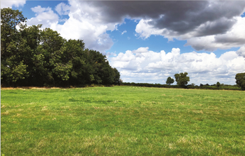 Meadow Drift, Cambridge for sale Primary Photo- Image 1 of 2