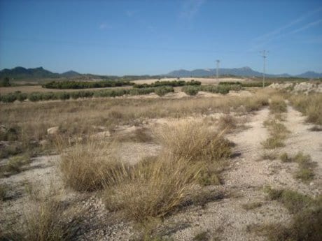 Industrial in Calasparra for sale - Site Plan - Image 3 of 7