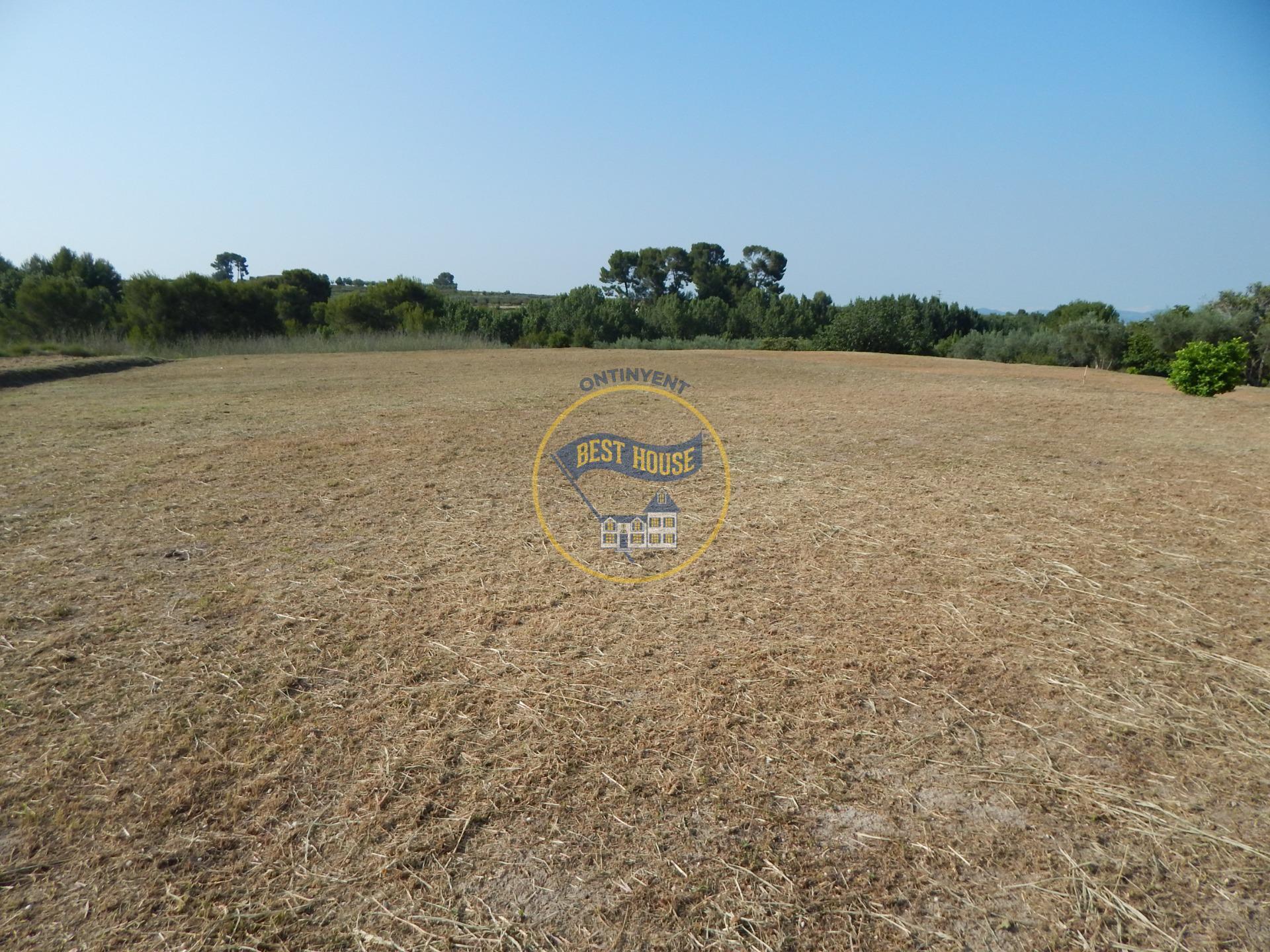 Land in Agullent for sale Site Plan- Image 1 of 8
