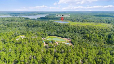 5600 NE NFR 5, Silver Springs, FL for sale Aerial- Image 1 of 110