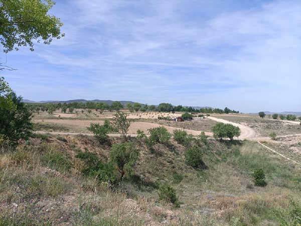 Calle Sierra de Armantes, 24, Calatayud, Zaragoza for sale - Other - Image 3 of 4