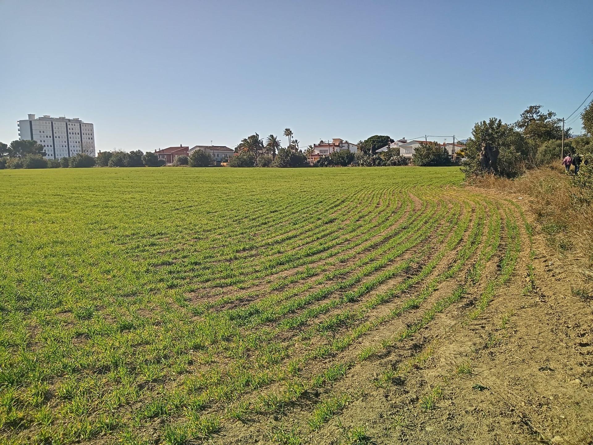 Carrer Poligono 21, 37, Cambrils, Tarragona for sale Primary Photo- Image 1 of 6