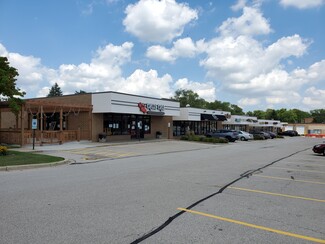 More details for 960-998 Lake St, Roselle, IL - Office/Retail, Retail for Rent