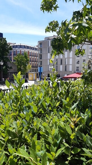 More details for Plaza de Pedro Zerolo, 5, Madrid - Build-to-Rent for Sale