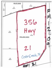 356 State Highway 21 And FM 1209, Cedar Creek, TX for sale Other- Image 1 of 1