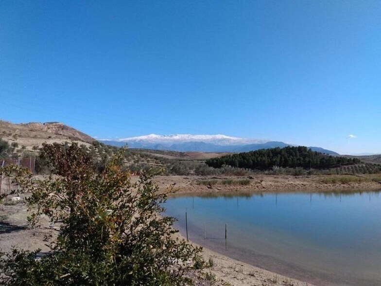 Land in La Malahá, Granada for sale - Aerial - Image 3 of 36