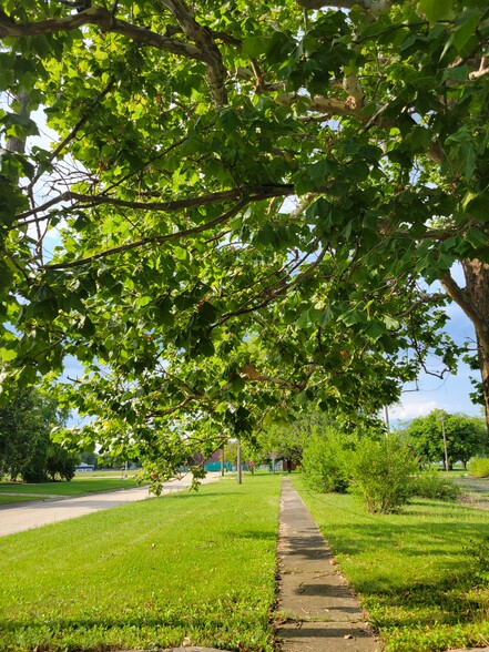 710 Snyder St, Rantoul, IL for sale - Primary Photo - Image 2 of 4