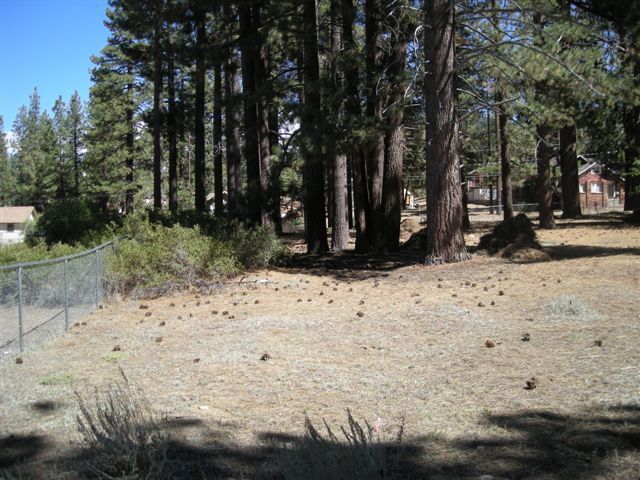 776 Knickerbocker Rd, Big Bear Lake, CA for sale - Primary Photo - Image 1 of 14