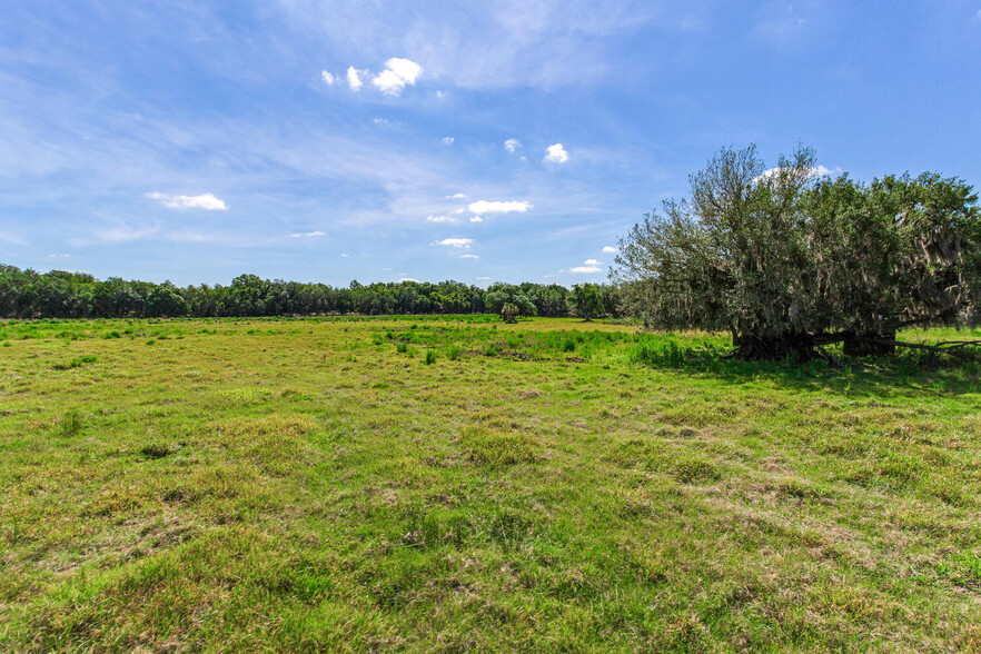 419 Jameson Rd, Lithia, FL for sale - Primary Photo - Image 1 of 14