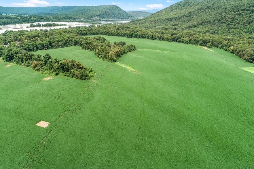 1517 Red Hill, Dauphin, PA for sale - Aerial - Image 2 of 7