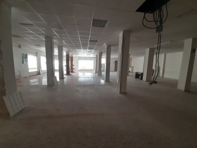 Retail in Novelda, Alicante to rent Interior Photo- Image 1 of 16