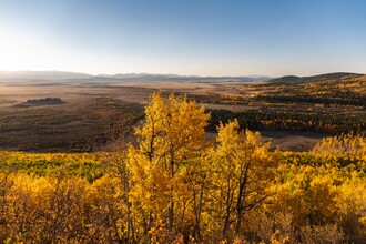 County Road 59, Hartsel, CO for sale Other- Image 1 of 10