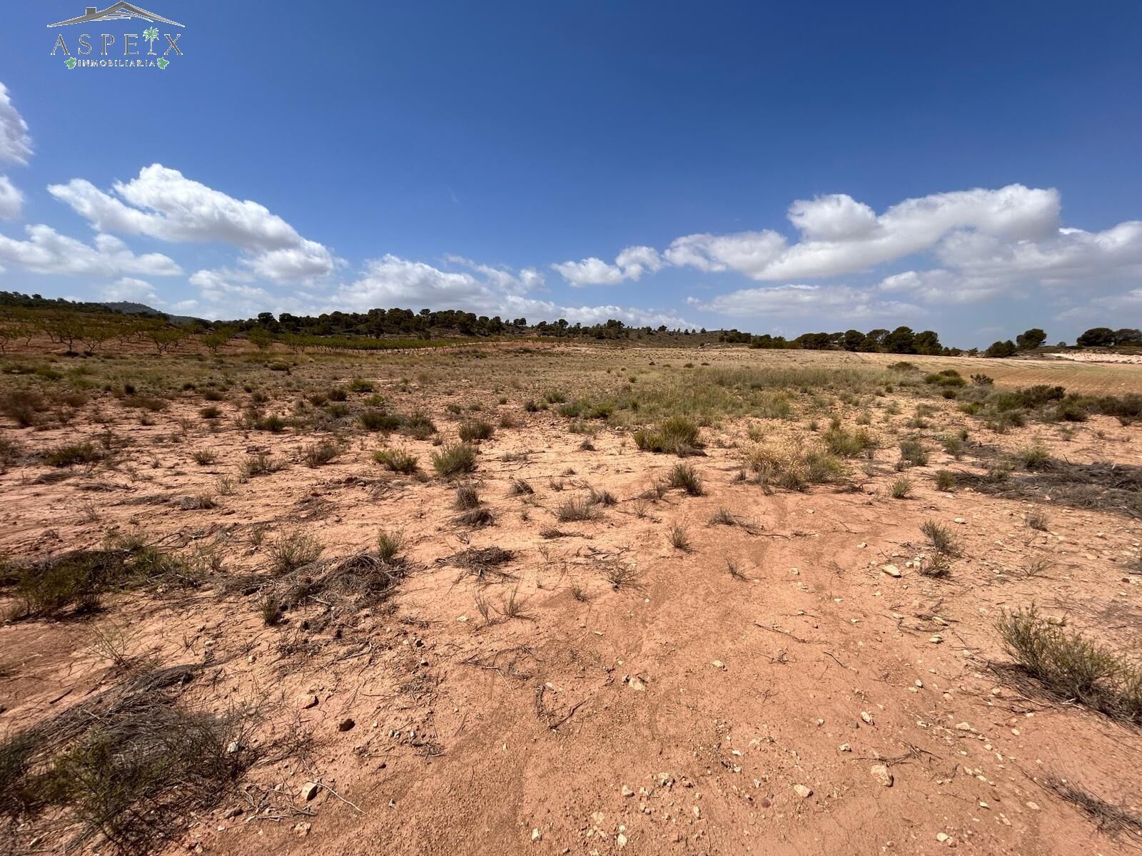 Land in Jumilla, Murcia for sale Site Plan- Image 1 of 6