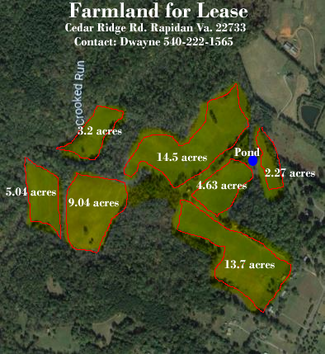 More details for 24134 Cedar Ridge Rd, Rapidan, VA - Land for Rent